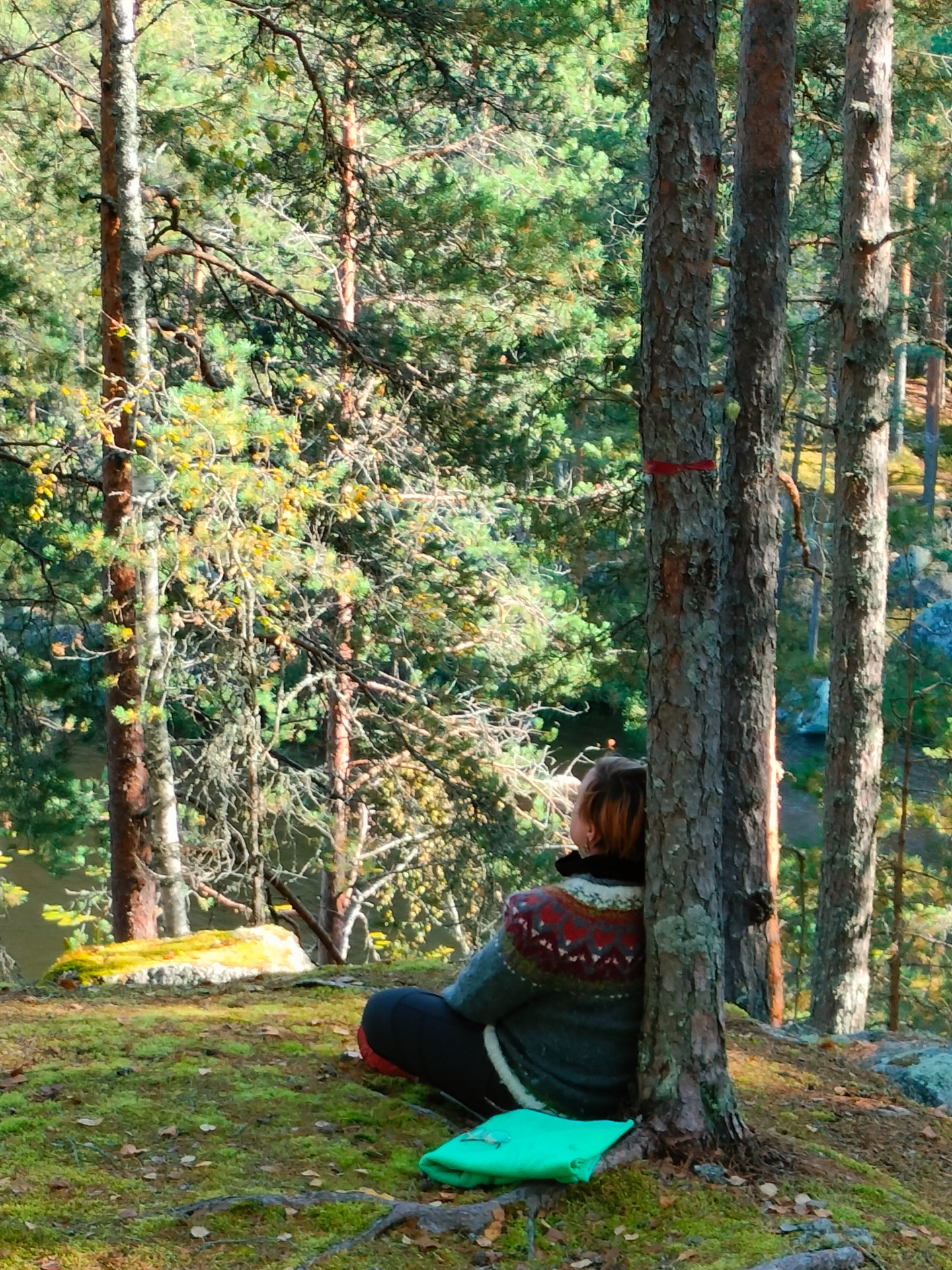 Ohjattu Terveysmetsä harjoitus voi näyttää tältä!